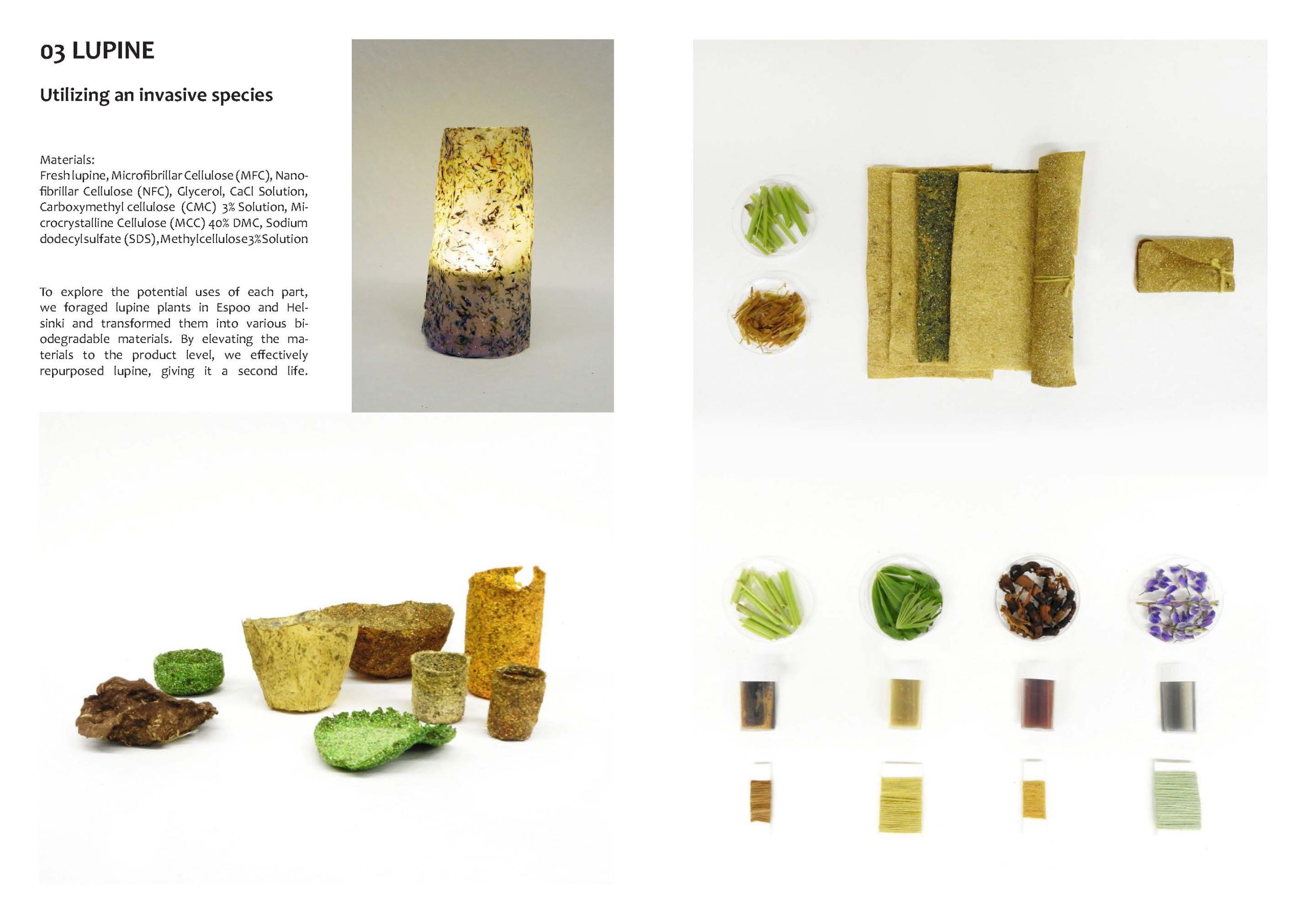 Xuefei-Shi_portfolio_2025_Page_05